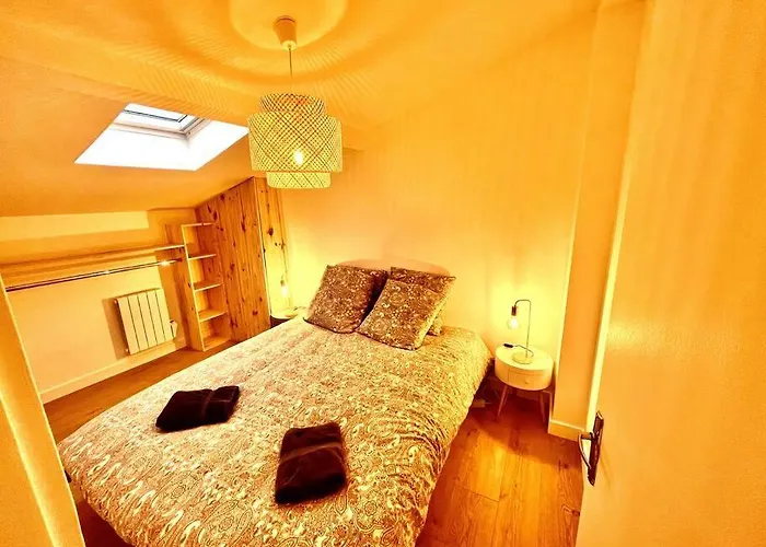 Appartement T3 Duplex Entre Gare Et Nansouty